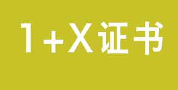 1+X֤�飺ѧ���뼼��˫������������ҵ��ѧ˫������