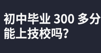 бҵ 300 ϼУ